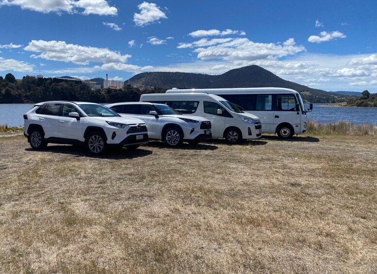 Picture 5 for Activity Bruny Island: Guided Sightseeing Tour (8hr Private Tour) 3