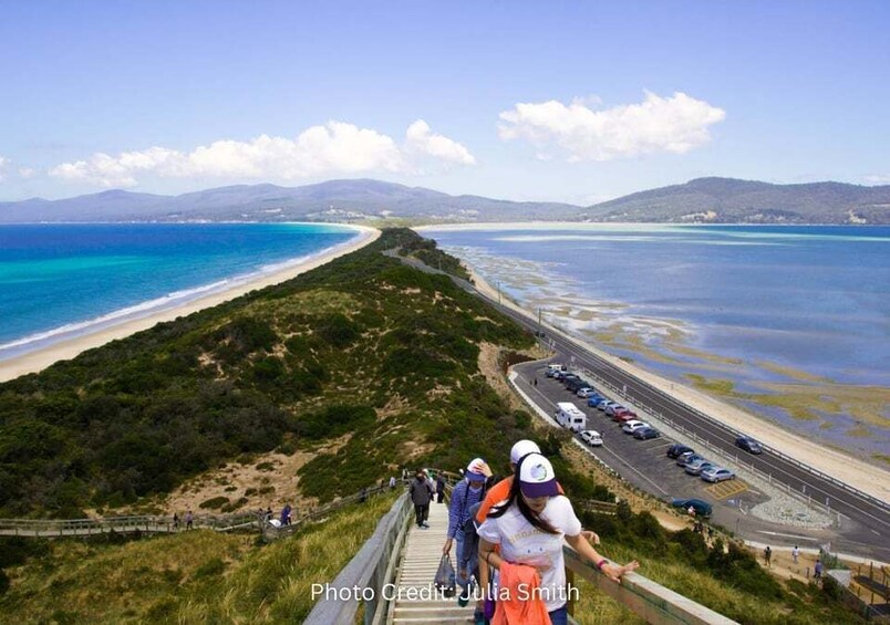 Bruny Island: Guided Sightseeing Tour (8hr Private Tour) 2