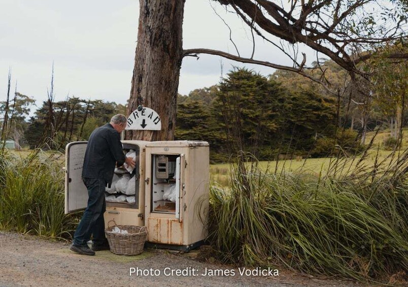 Picture 3 for Activity Bruny Island: Guided Sightseeing Tour (8hr Private Tour) 5
