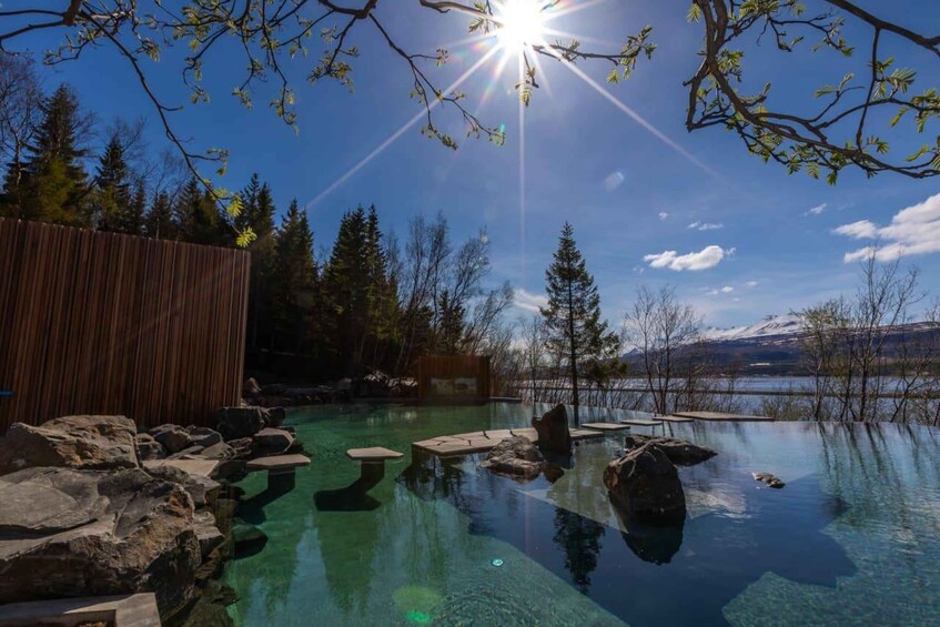 A clear pool with rocks, surrounded by trees and a wooden fence, with a mountain in the background. 1