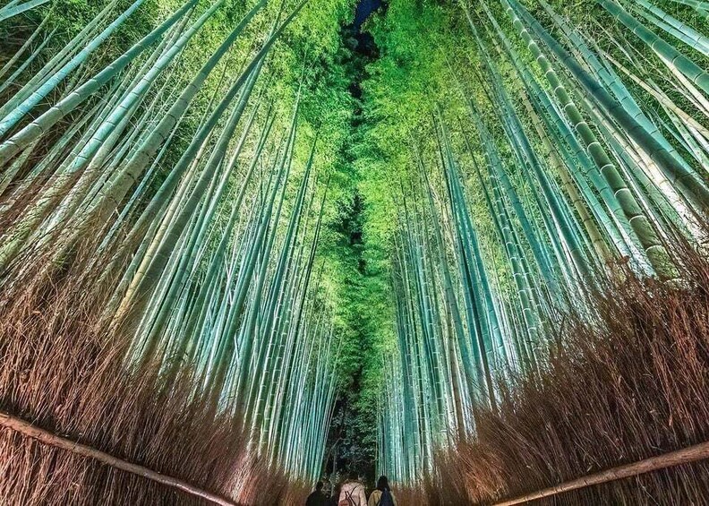 Picture 2 for Activity Kyoto: Fushimi Inari & Arashiyama Night Walking Tour 3