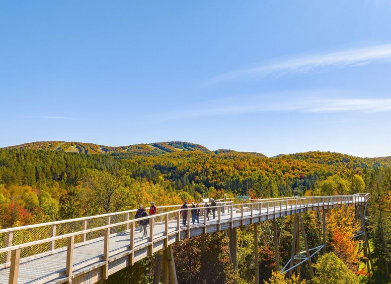 Picture 3 for Activity Mont-Tremblant: Bike Rental & Treetop Walk 3