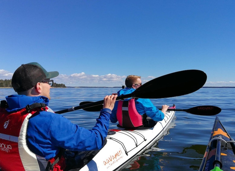 Picture 4 for Activity Summer Evening in a Sea Kayak, Turku Archipelago 4