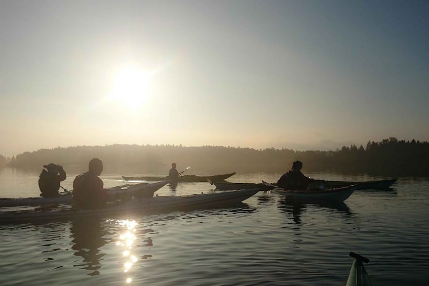 Picture 1 for Activity Summer Evening in a Sea Kayak, Turku Archipelago 2