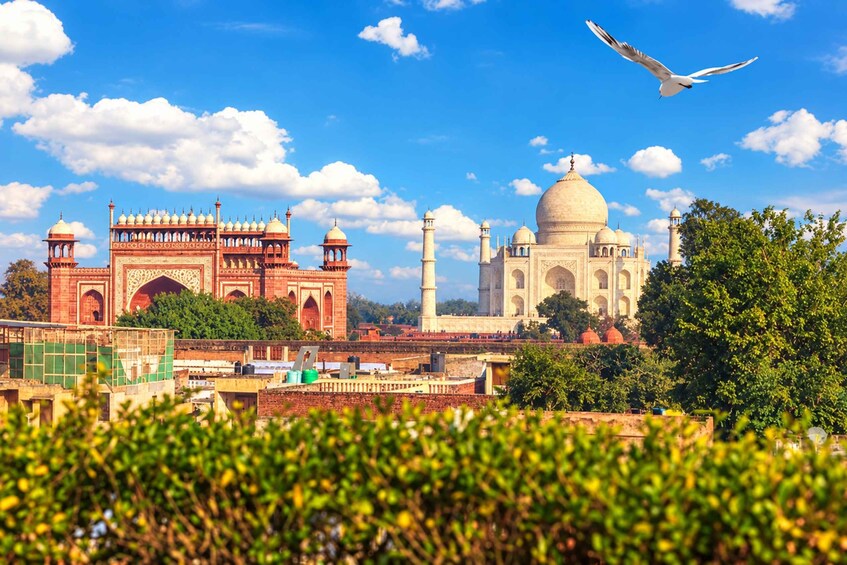 The Taj Mahal with a flying bird in the sky. 2