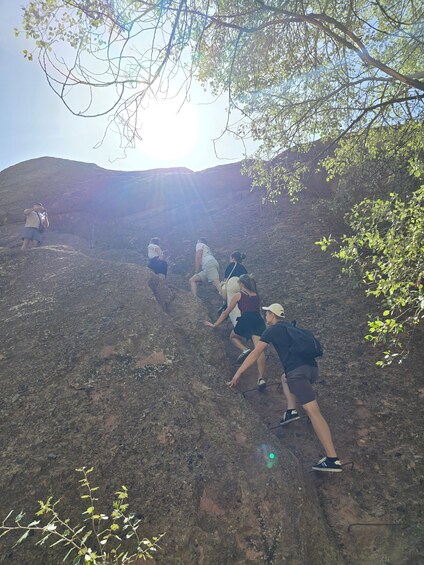 A group of people hiking up a rocky slope with trees in the background. 3