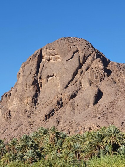 Picture 13 for Activity From Ouarzazate: 3-Day Sahara & Atlas Mountains Adventure 3
