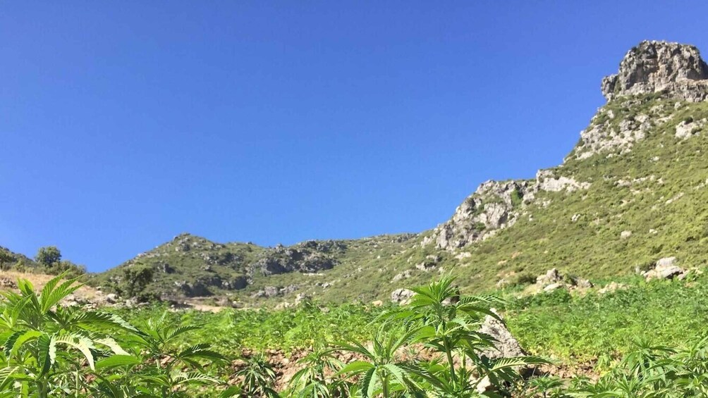 Picture 7 for Activity Chefchaouen: 3-Day Rif Mountains Trek with Guide 5