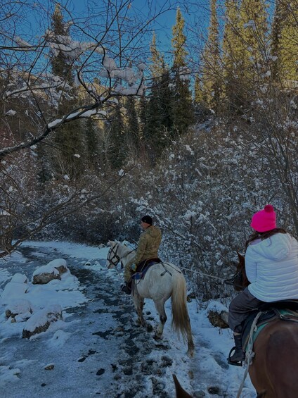 A person riding a white horse through a snowy landscape with trees and a stream. 3
