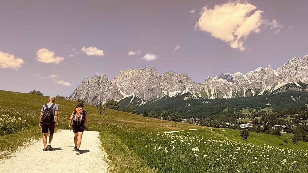 Picture 1 for Activity Dolomites sunrise walk: waking up with the Fox 2