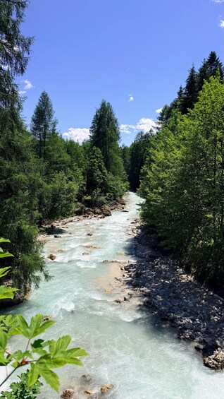 A river flowing through a forested area with clear water and rocky banks. 2