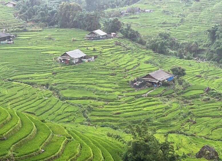 Picture 33 for Activity Sapa adventure tour and food 3