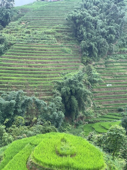 Picture 37 for Activity Sapa adventure tour and food 2