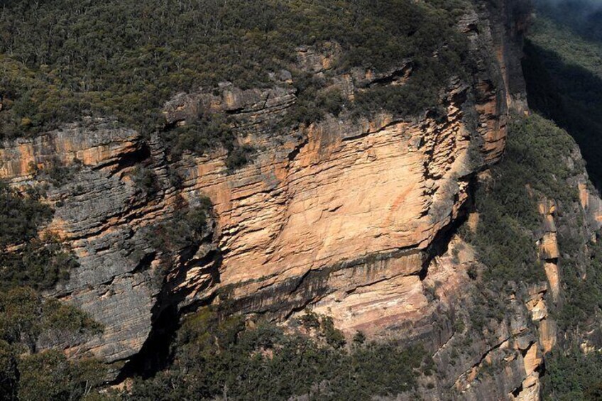 sandstone escarpment, Blue Mountains 1