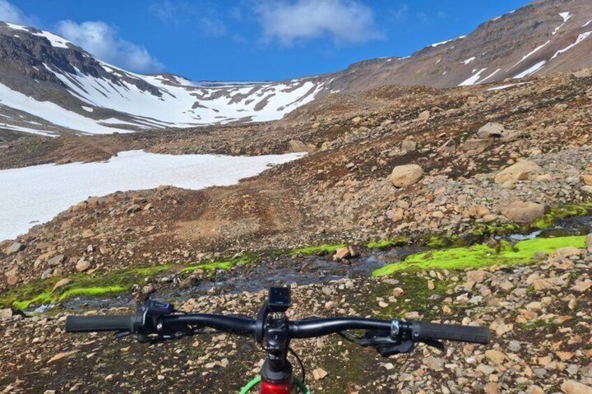 Dalvik Private E MTB Tour 5