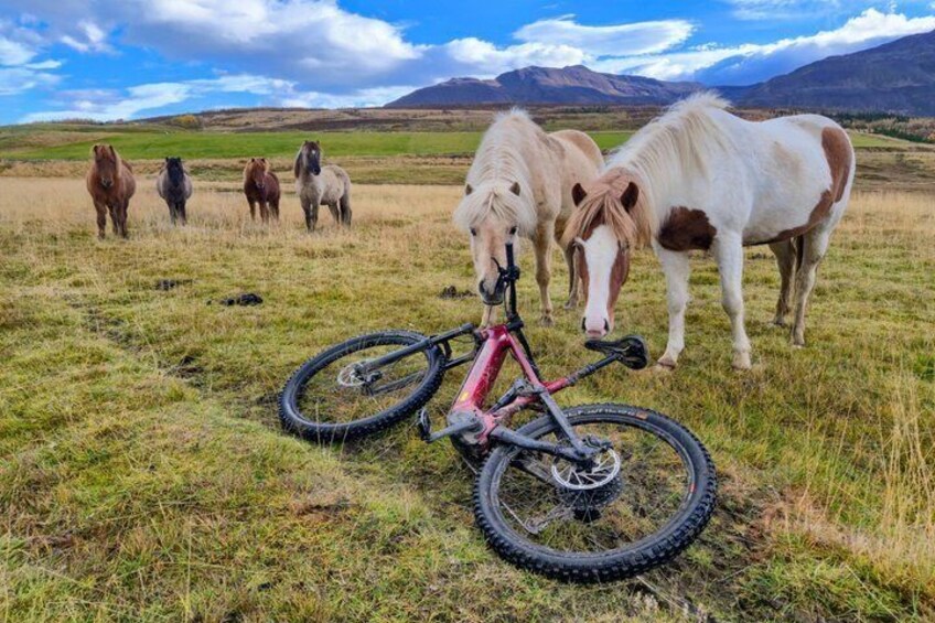 Svarfadadalur Private E MTB Tour 1