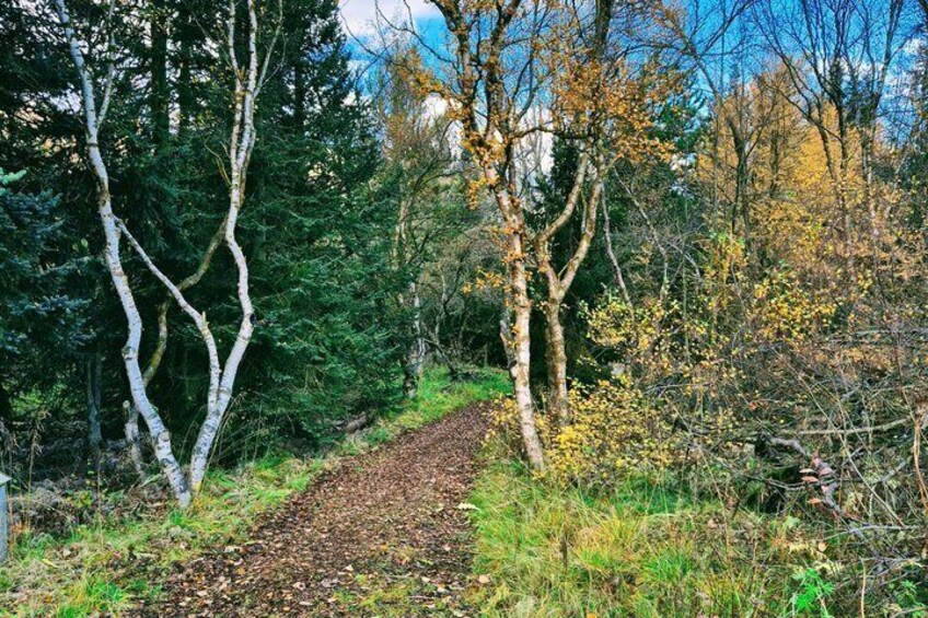 Svarfadadalur Private E MTB Tour 2