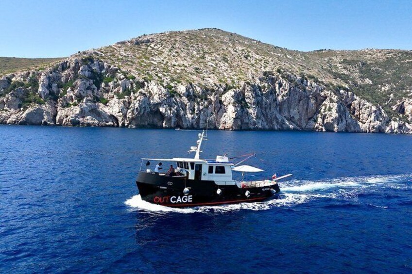 Golfo Aranci: Private Vintage Yacht Tour with Dolphins and Lunch 4
