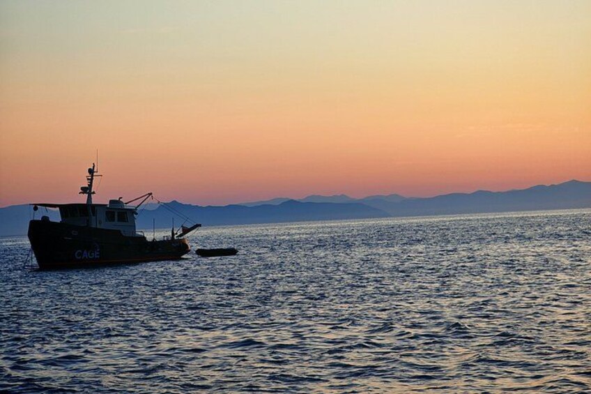 Golfo Aranci: Private Vintage Yacht Tour with Dolphins and Lunch 5