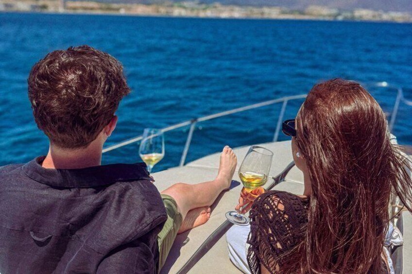 Dolphin Watching in Manilva 3