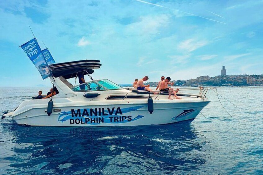 Dolphin Watching in Manilva 1