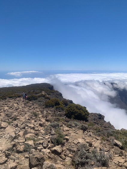 Picture 3 for Activity Réunion Island: Guided Grand Bénare Hike via Maïdo 4