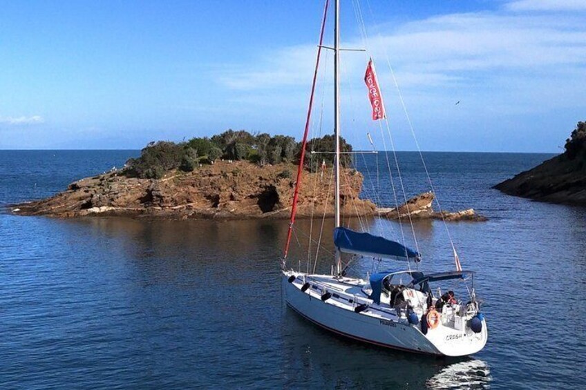 Golfo Aranci private sunset sailboat dolphins and aperitif 1