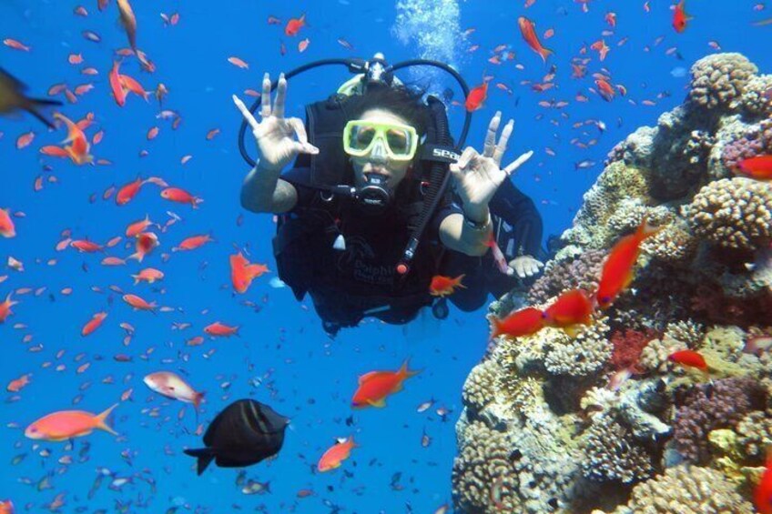 PADI Open Water Diving Course with Transfers : Sharm El Sheikh 1