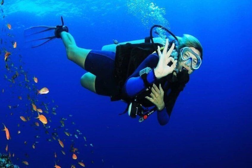 PADI Open Water Diving Course with Transfers : Sharm El Sheikh 1