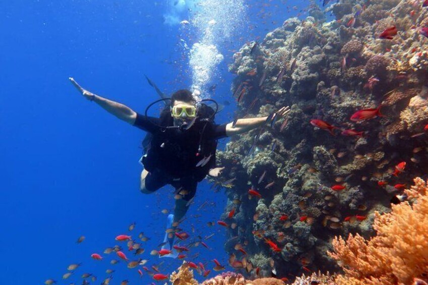PADI Open Water Diving Course with Transfers : Sharm El Sheikh 3