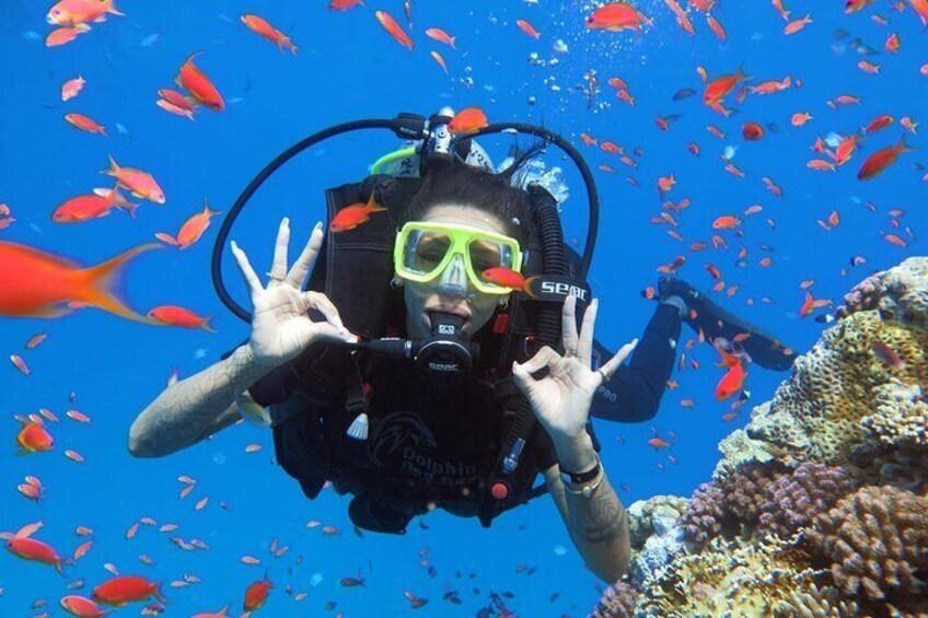 PADI Open Water Diving Course with Transfers : Sharm El Sheikh 5