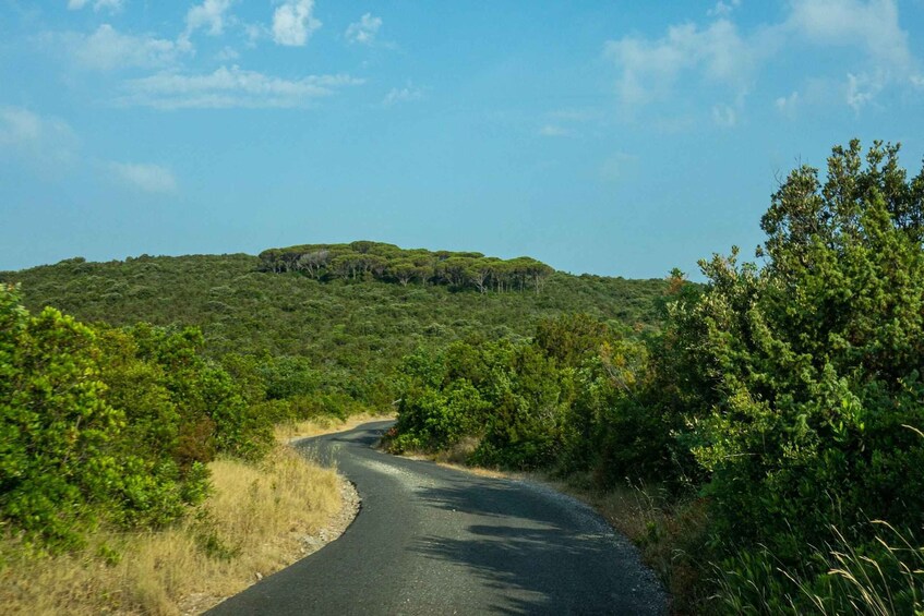 A winding road through a green landscape with a hill in the distance. 2