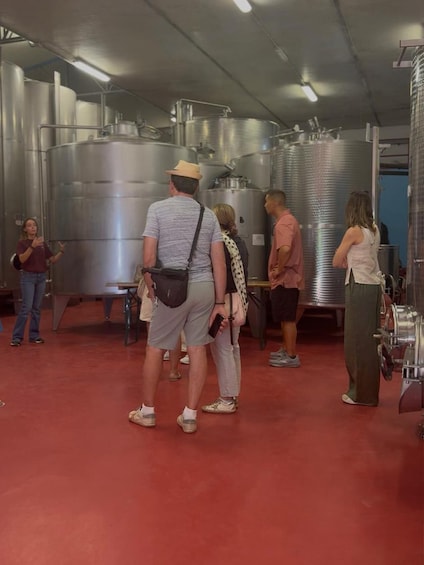 Picture 8 for Activity Siena: Sunset Chianti Wine Tour with Tuscan Dinner 5
