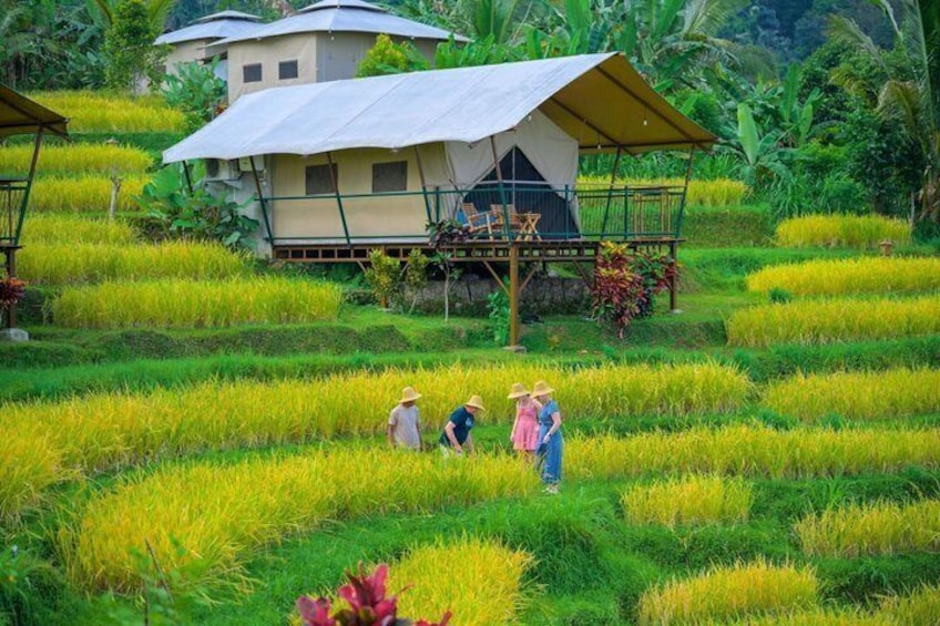 4 Day Cultural Retreat at Kaura Bali with Local Experiences 1
