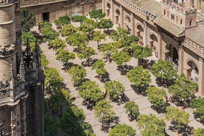 A courtyard with trees, a tower, and a building with arches. 5