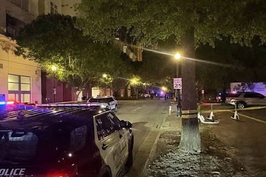 A nighttime street scene with police cars, a tree, and a speed limit sign. 3
