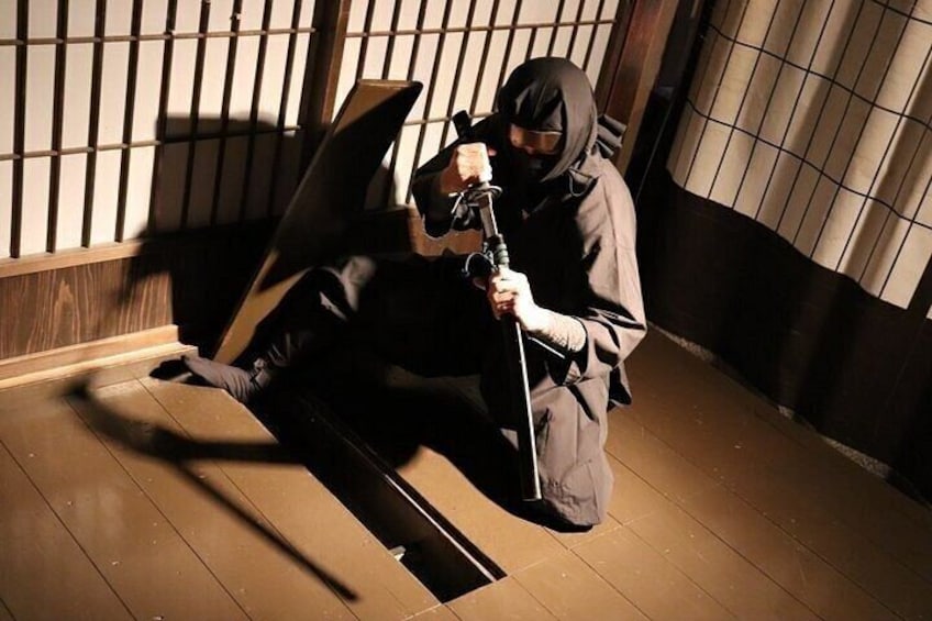 Guided Kyoto to Iga Ninja Museum Experience by Private AC Car 2