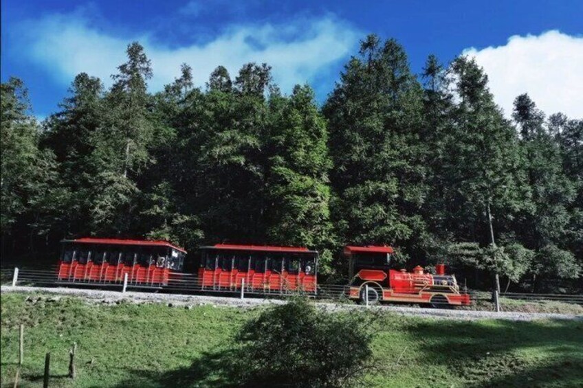 Wulong Three Natural Bridges Fairy Mountain Day Tour Chongqing 4