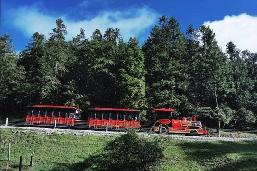 A red train with a locomotive and two passenger cars on tracks, surrounded by a forested area. 4