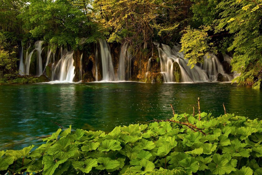 Plitvice Lakes Admission Ticket with Guided Walking Tour 1