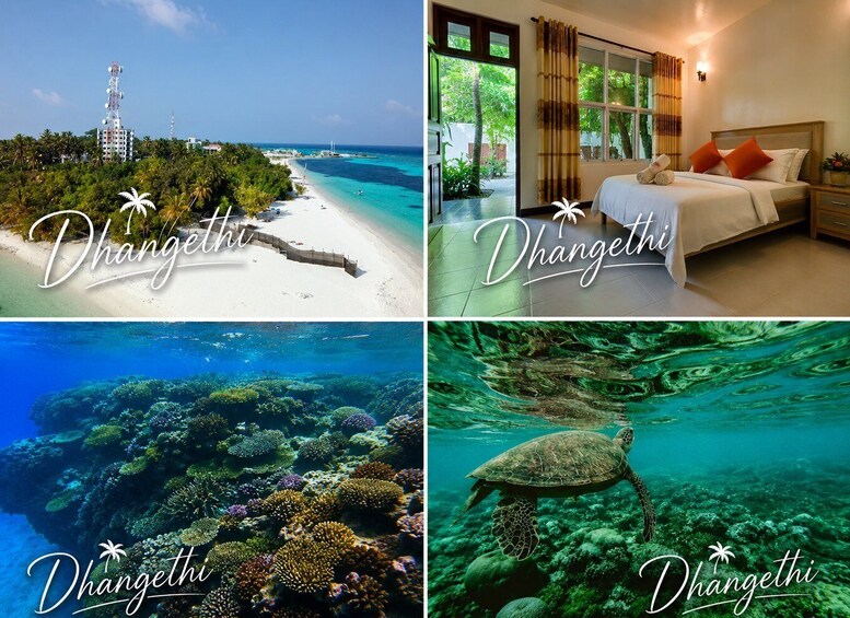 Picture 7 for Activity Swim with Whale Sharks: Multi-Day Dhangethi Adventure 4