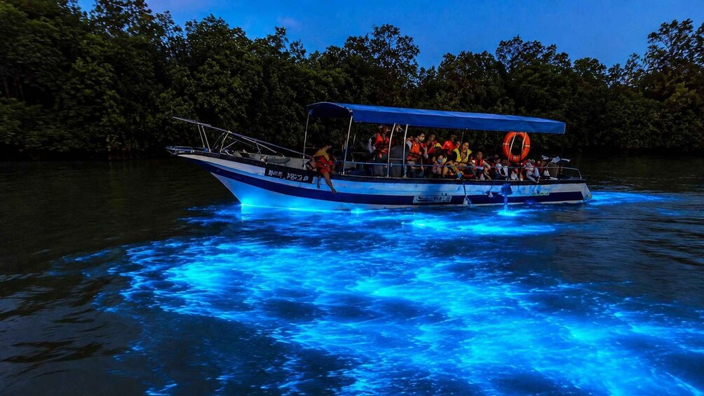 Picture 1 for Activity Kuala Lumpur: Fireflies, Blue Tears, Eagles and Seafood Meal 3