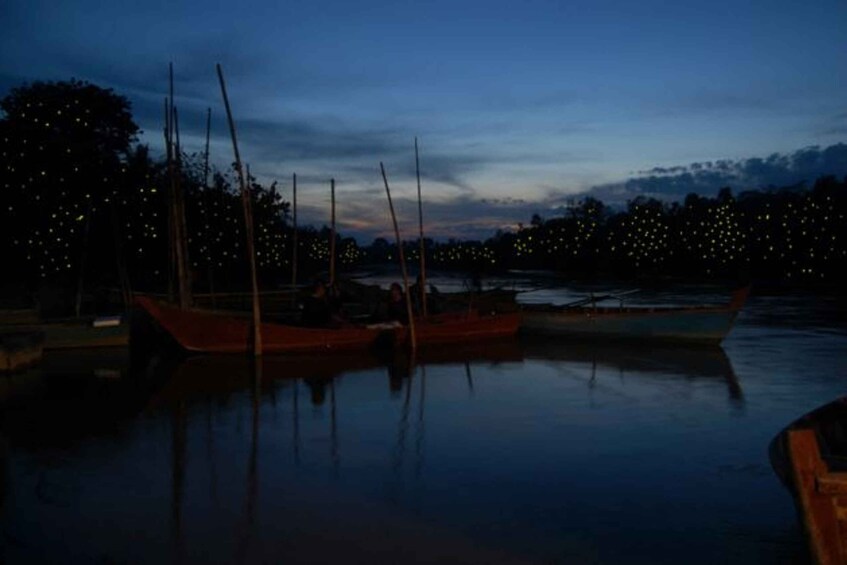 Picture 10 for Activity Kuala Lumpur: Fireflies & Blue Tears Tour with Seafood Meal 4