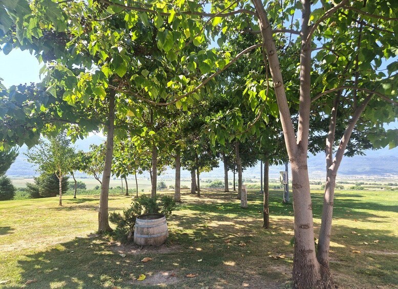 Picture 12 for Activity From Plovdiv: Wine Escape to the Rhodope Foothills 2