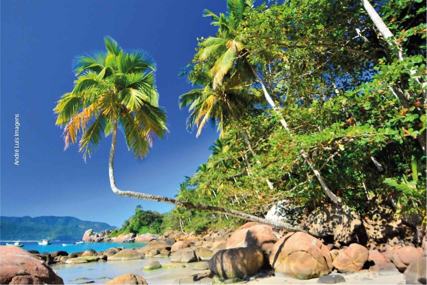 Picture 3 for Activity Ilha Grande Tour by Speedboat – The Most Complete Itinerary of the Island 3