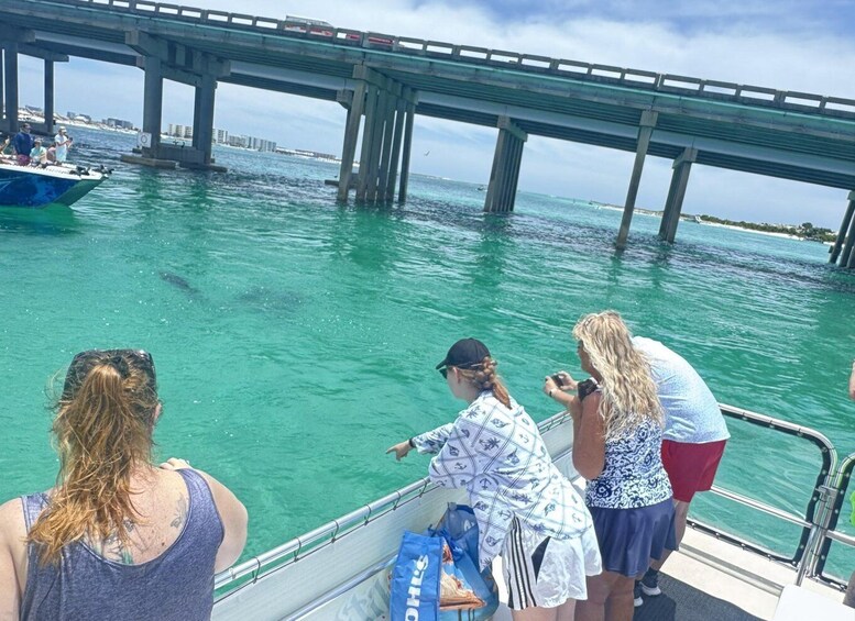 Picture 24 for Activity Destin/Ft. Walton: Crab Island & Dolphin Cruise - In Water! 5