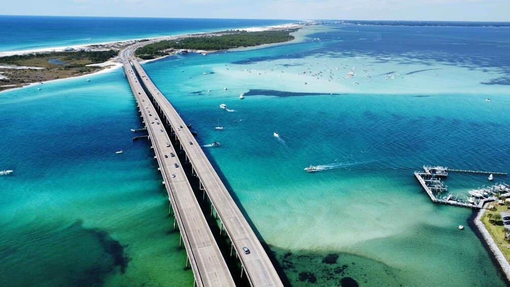 Picture 17 for Activity Destin/Ft. Walton: Crab Island & Dolphin Cruise - In Water! 2