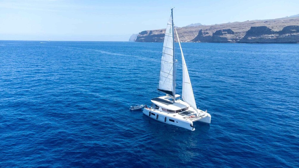 Picture 6 for Activity Mogán: Luxury Yacht Experience 4