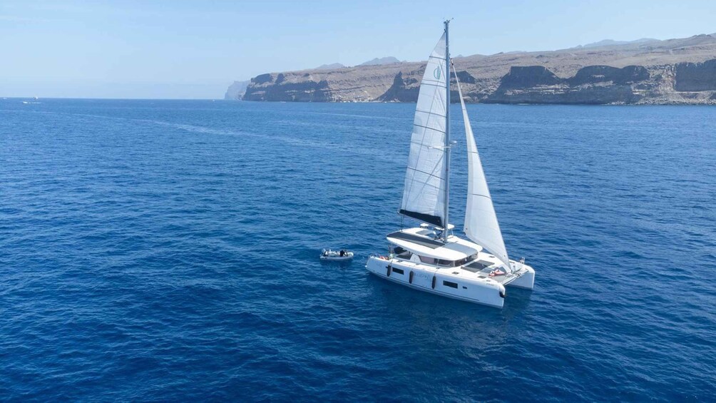 Picture 7 for Activity Mogán: Luxury Yacht Experience 1