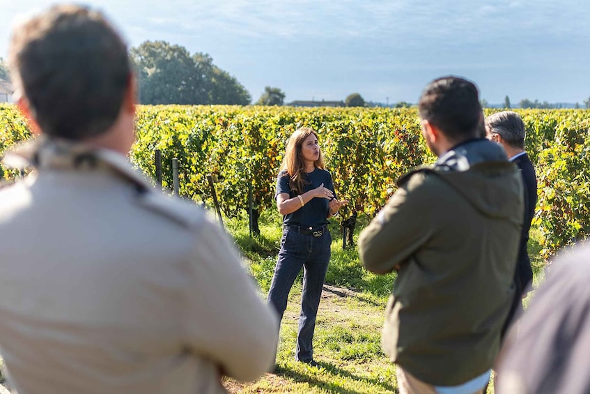 A vineyard with rows of grapevines and a group of people standing and observing. 4